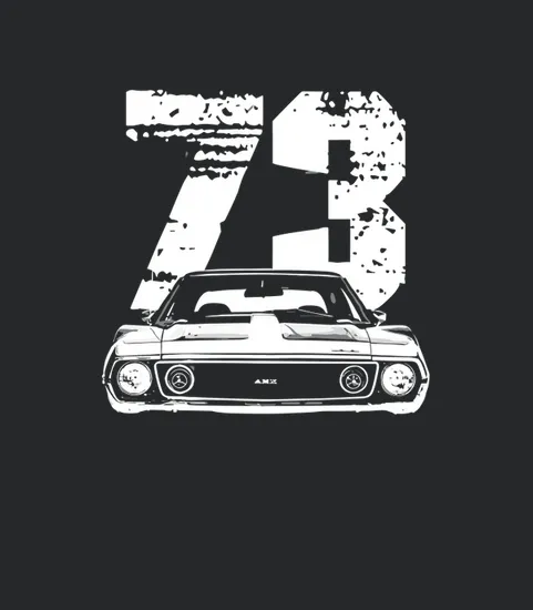 1973 Amc Amx Javelin