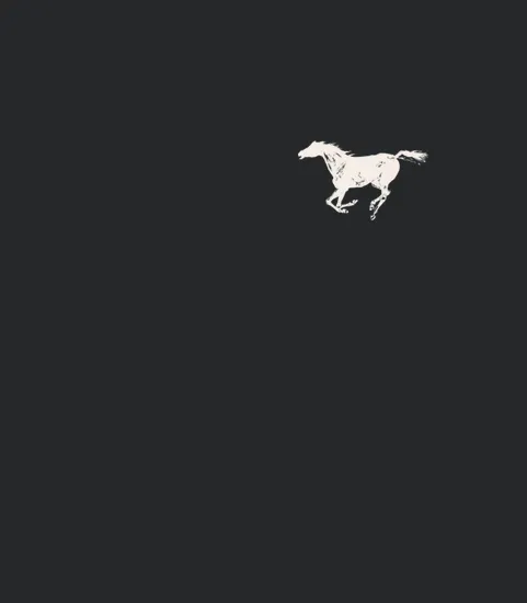 2 Side Neil Young And Crazy Horse