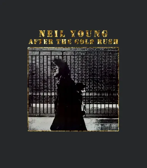 Rk70s 143 After The Goldrush 1970 Neil Young