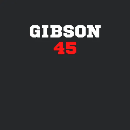 Bob Gibson 45