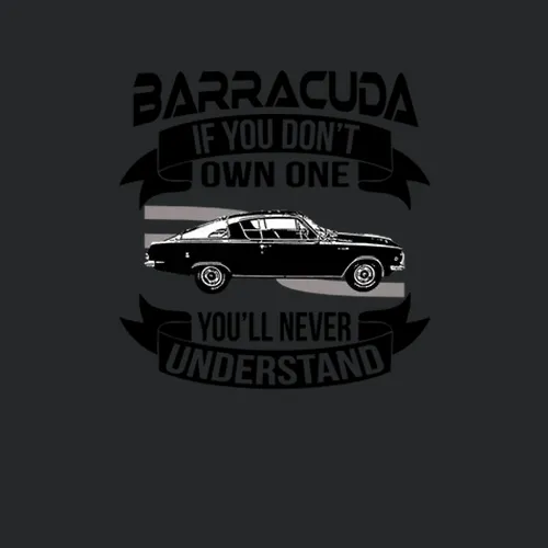 1965 Plymouth Barracuda S Dont Own One Youll Never Understand Car Enthusiasts