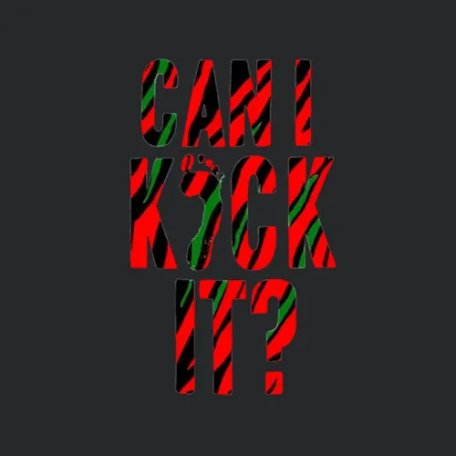 A Tribe Called Quest Can I Kick It 90s Rap Hip Hop Music