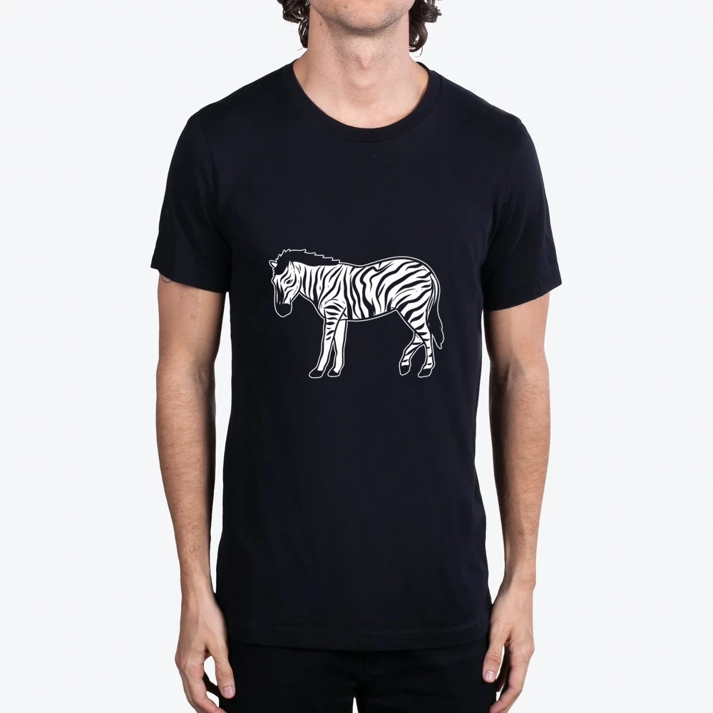 Zebra Safari Animal Zoo Africa Animals