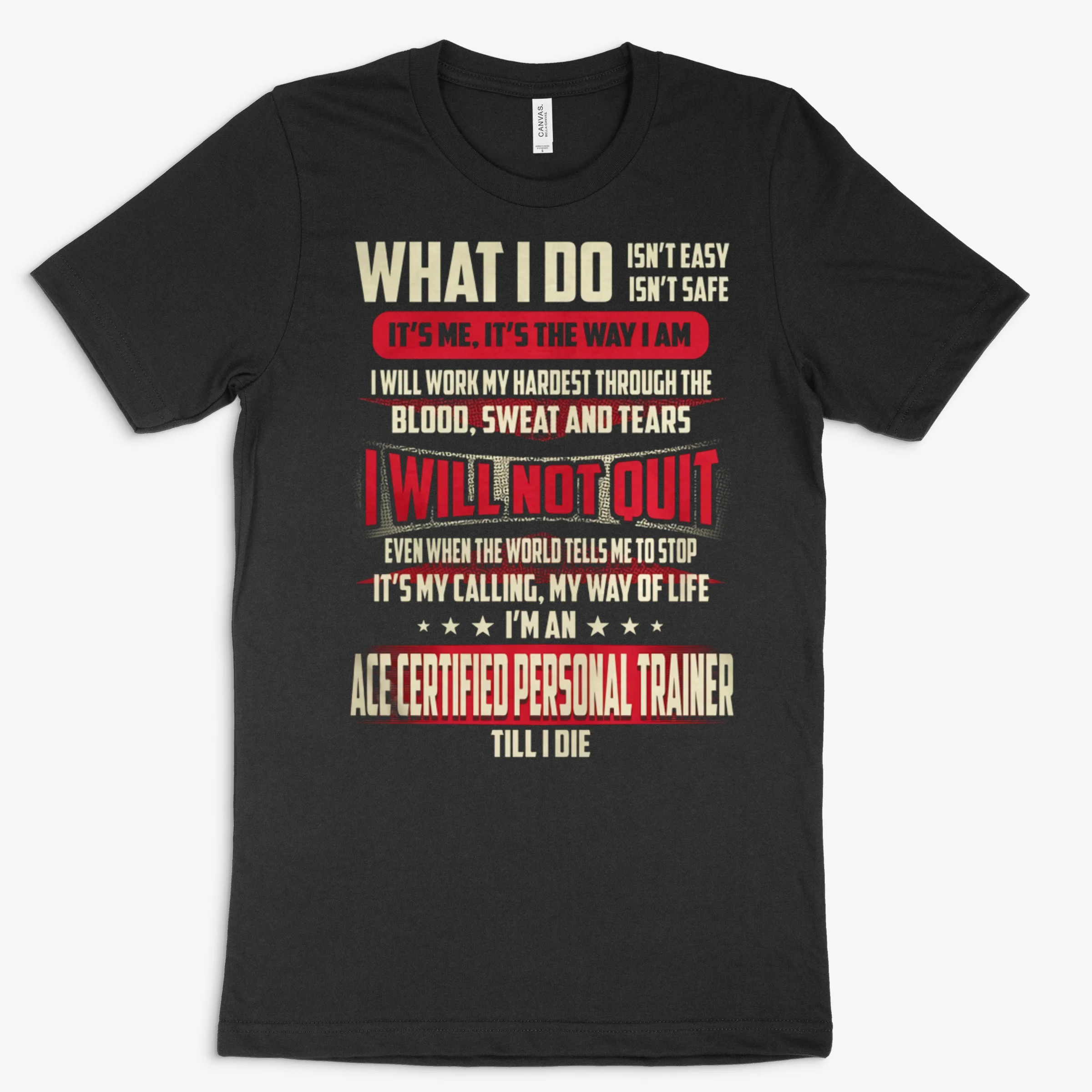 Ace Certified Personal Trainer What I Do Job