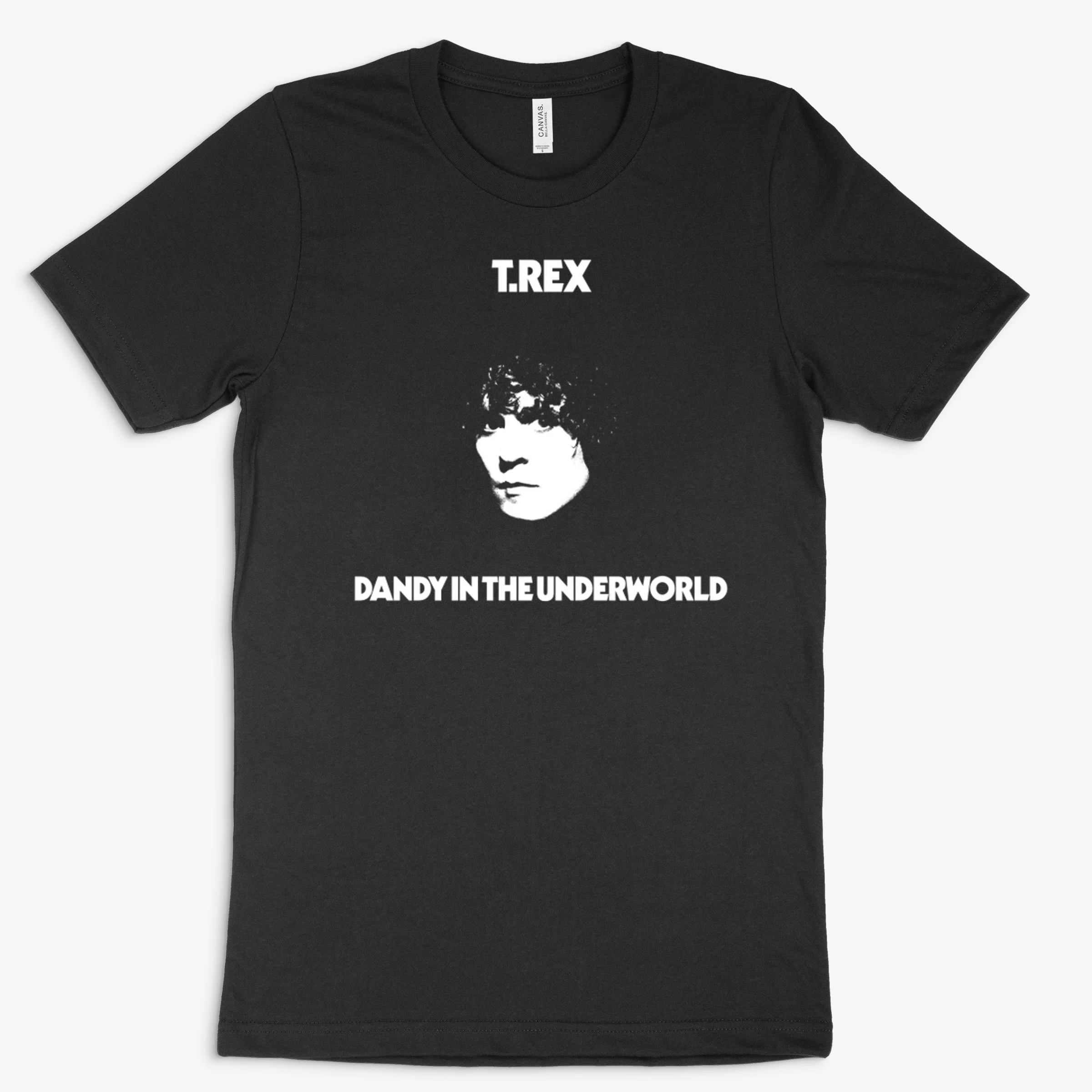 100glr 024 T Rex Dandy In The Underworld 1977