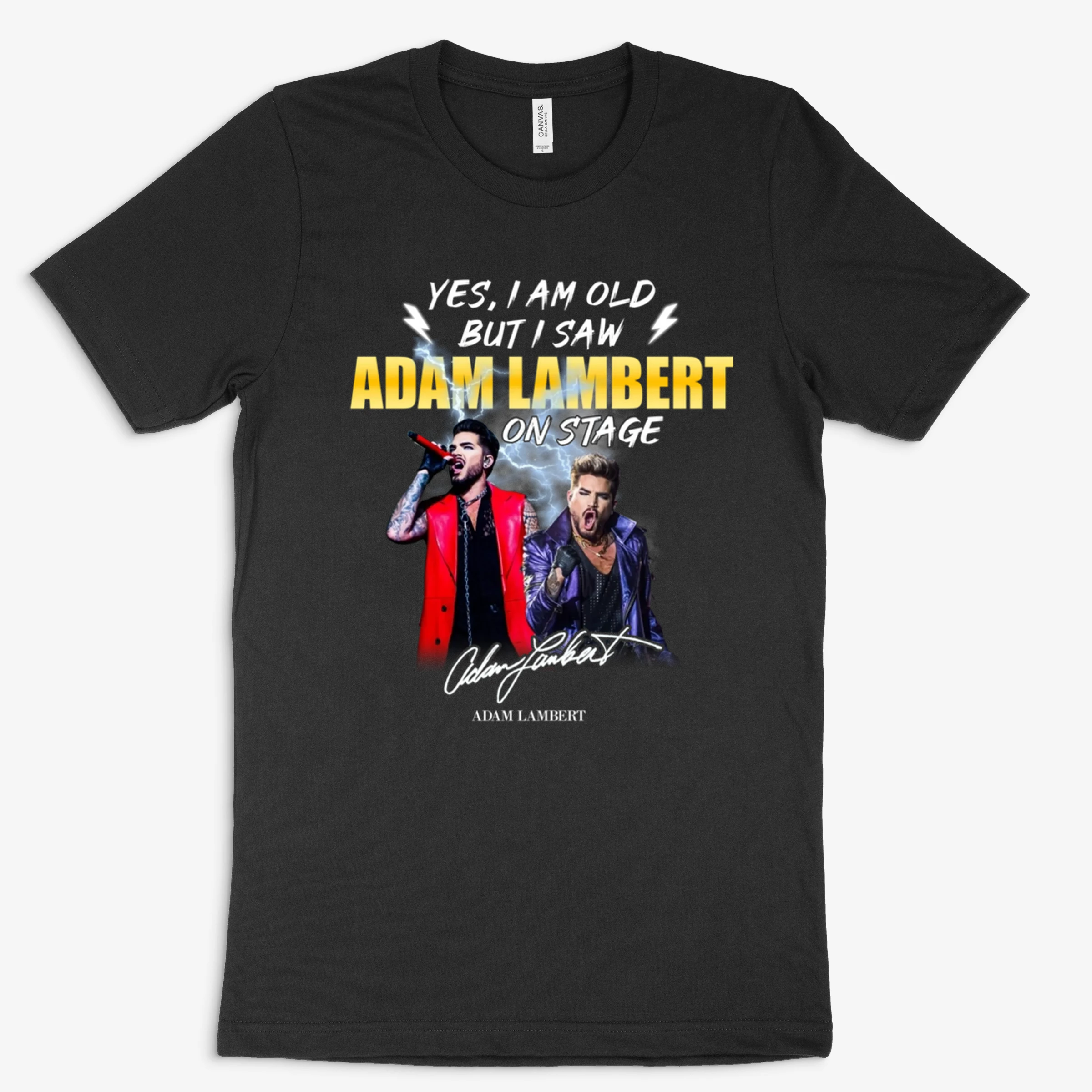 Yes I Am Old But I Saw Adam Lambert On Stage
