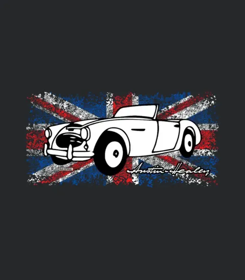 Austin Healey Autonautcom