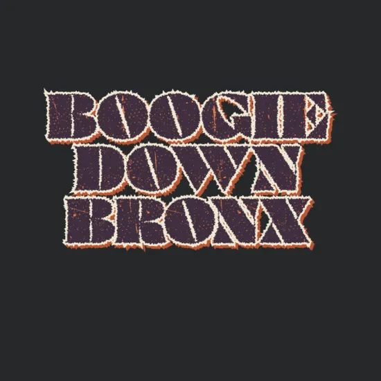 Boogie Down Bronx Vintage