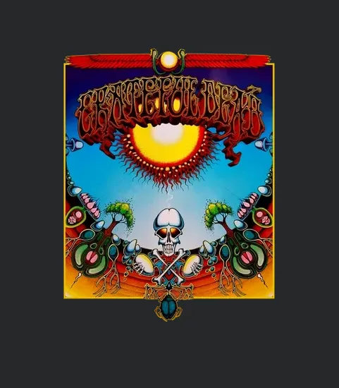 Cover 122 Yl Grateful Dead Aoxomoxoa