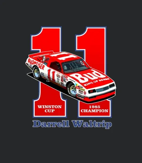 Darrell Waltrip Nascar 02