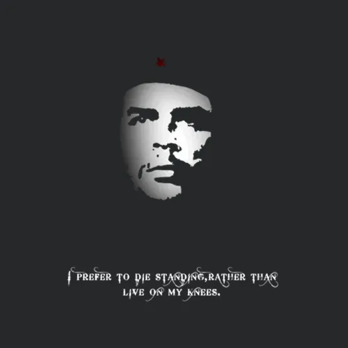 Che Guevara Historic Quote