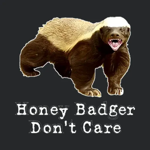 Funny Honey Badger Animal Fierce Dont Care