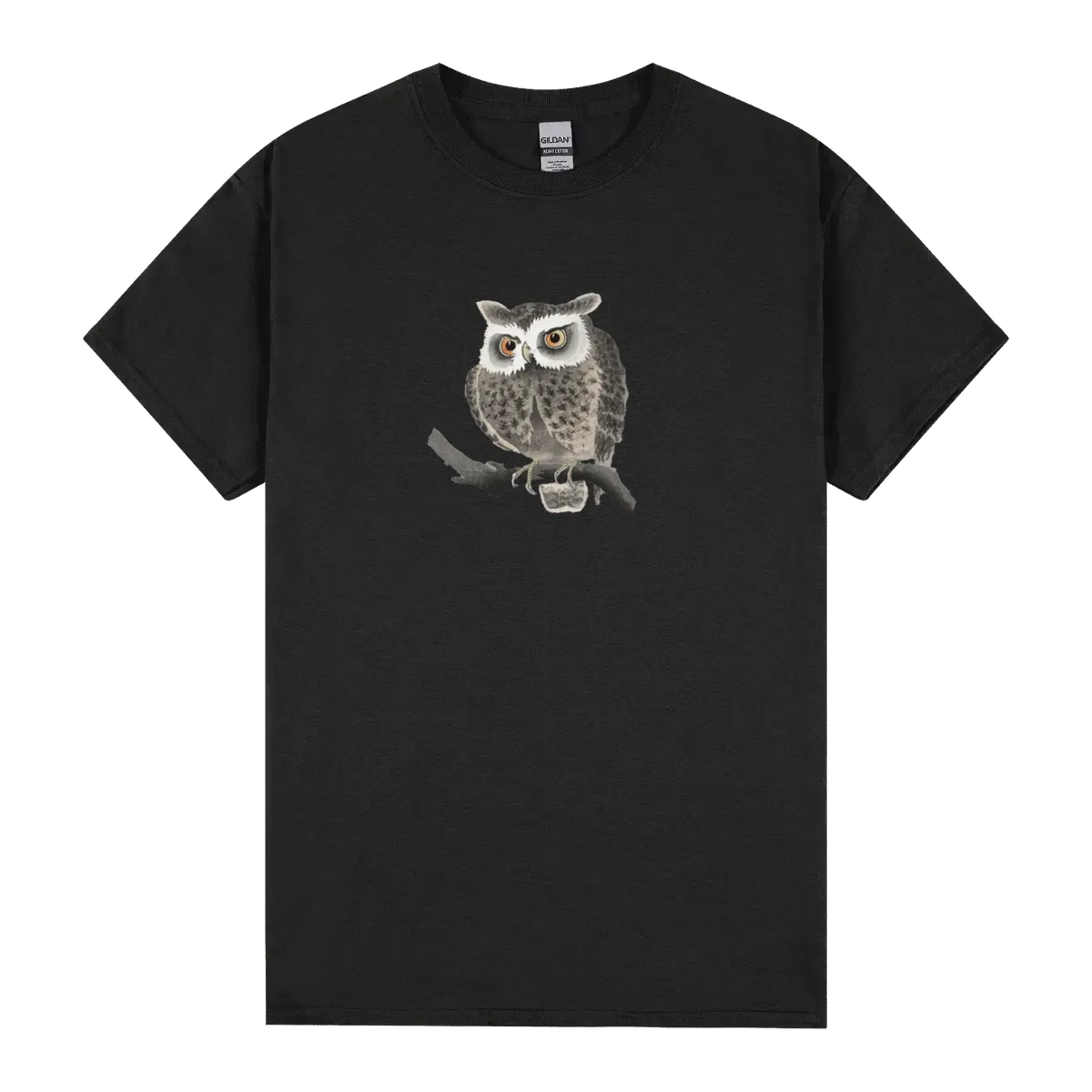 Wise Nocturnal Owl Perch On A Tree Branch