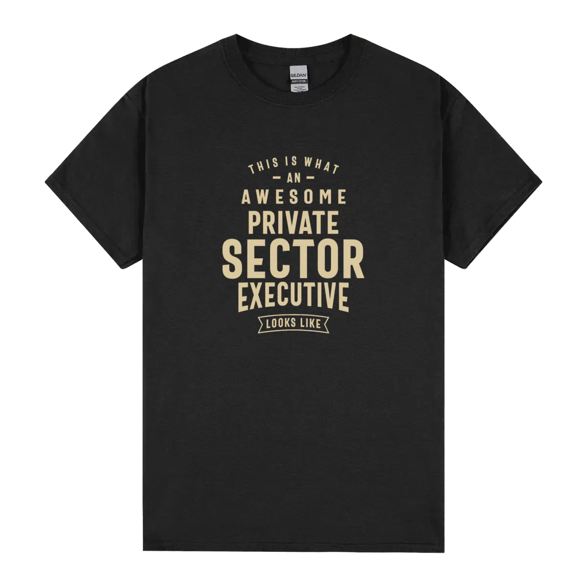 Awesome Private Sector Executive Job