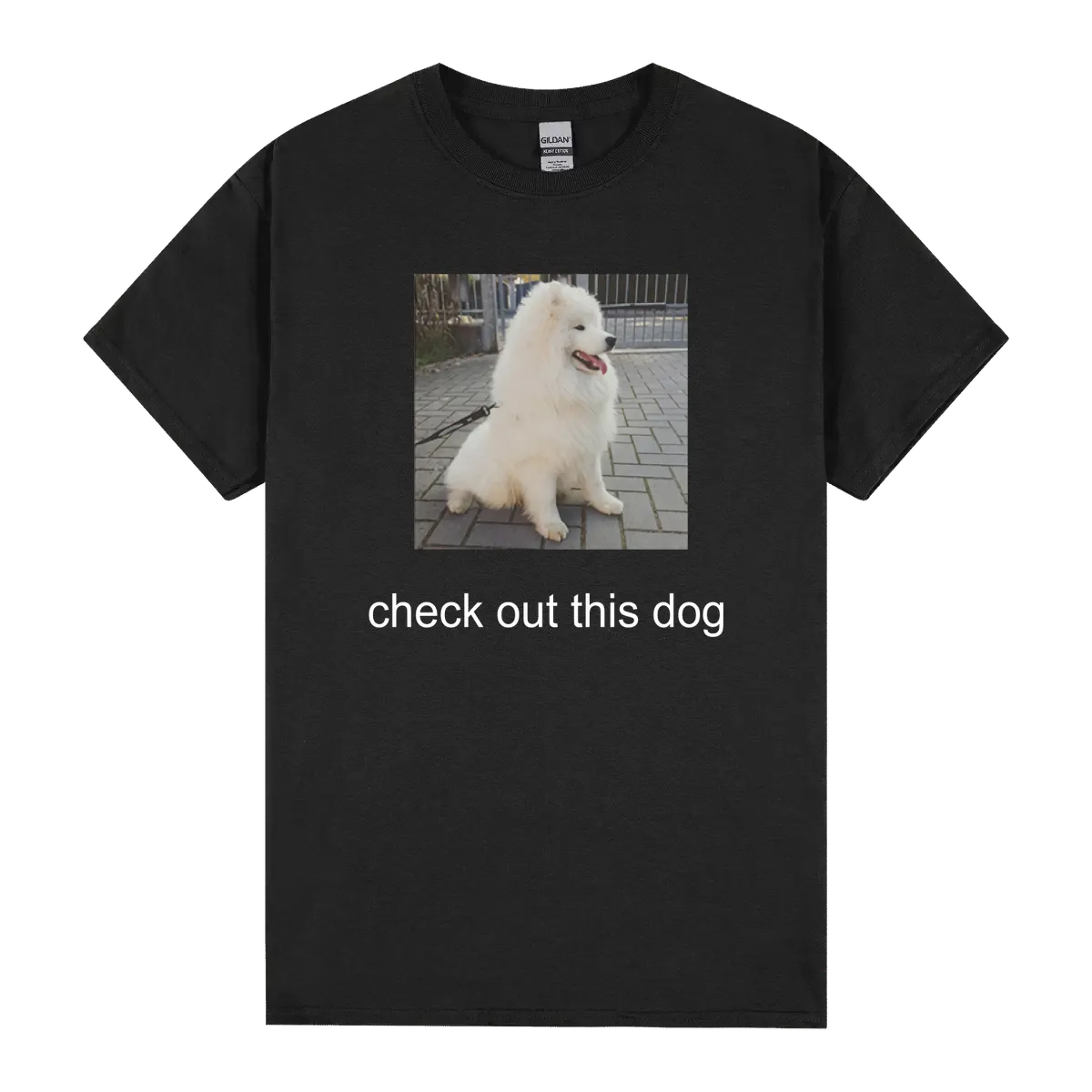 Check Out This Dog Wow