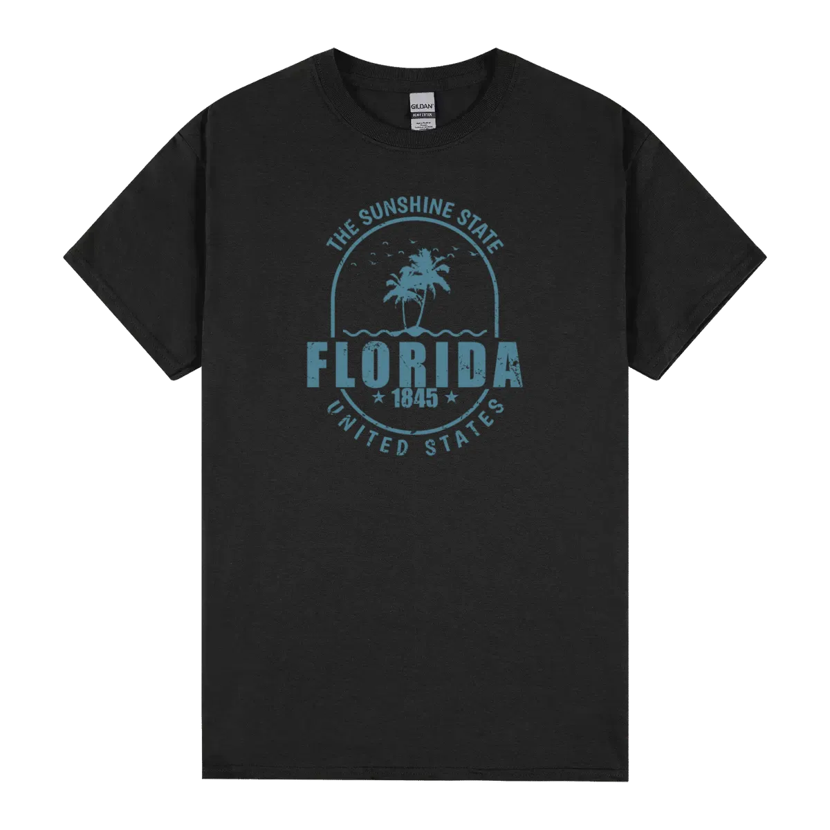 Florida The Sunshine State 1845 United States