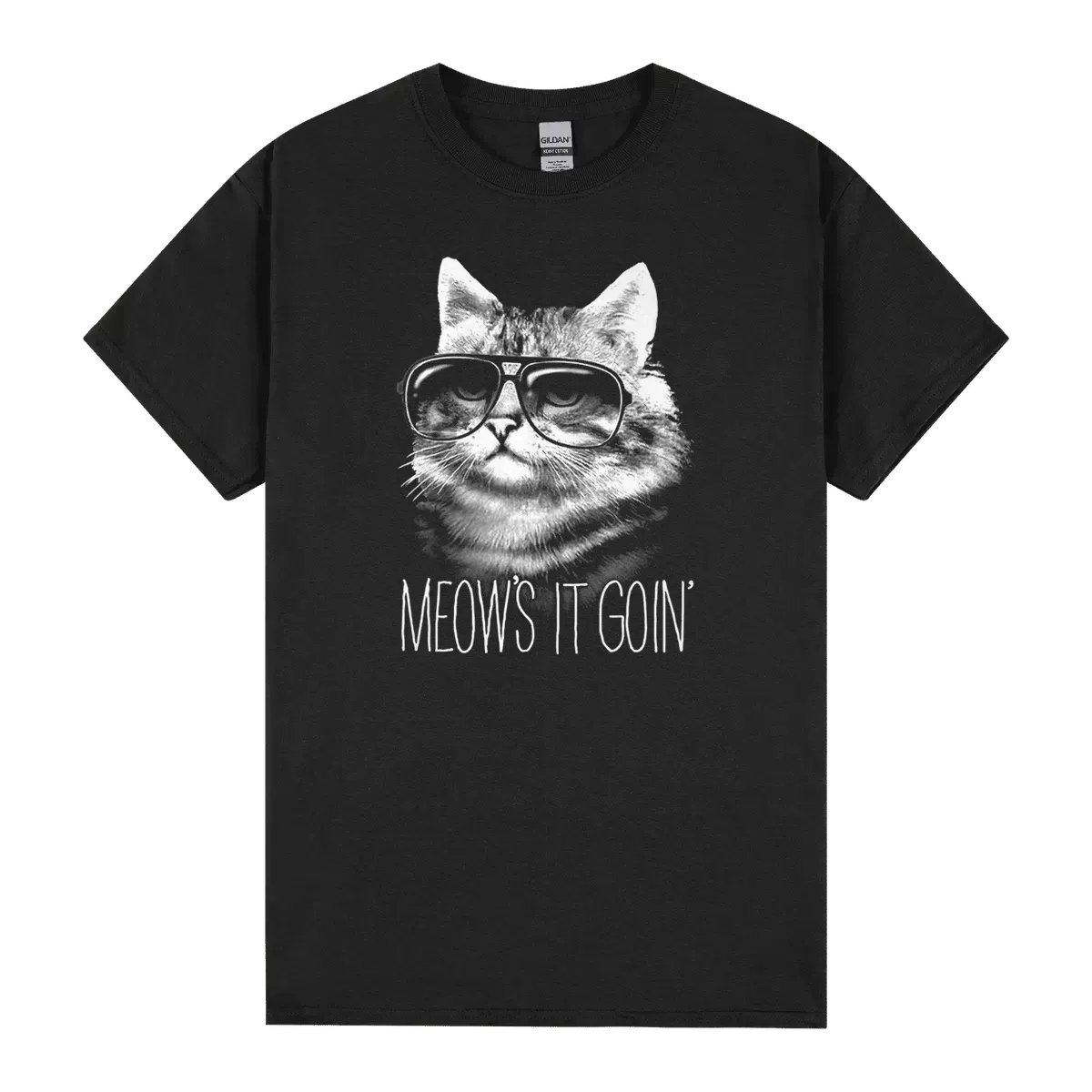 Meows It Goin