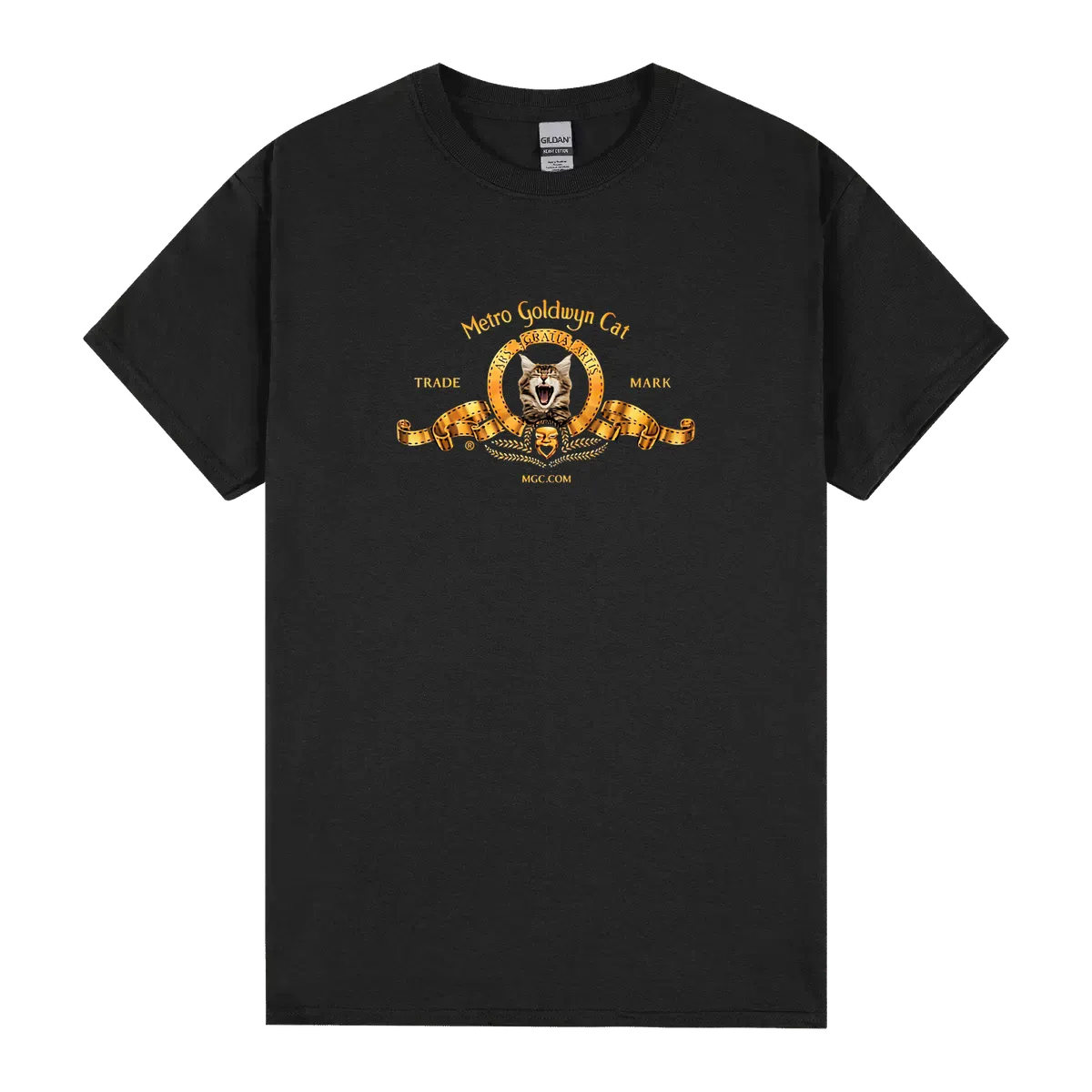 Metro Goldwyn Cat