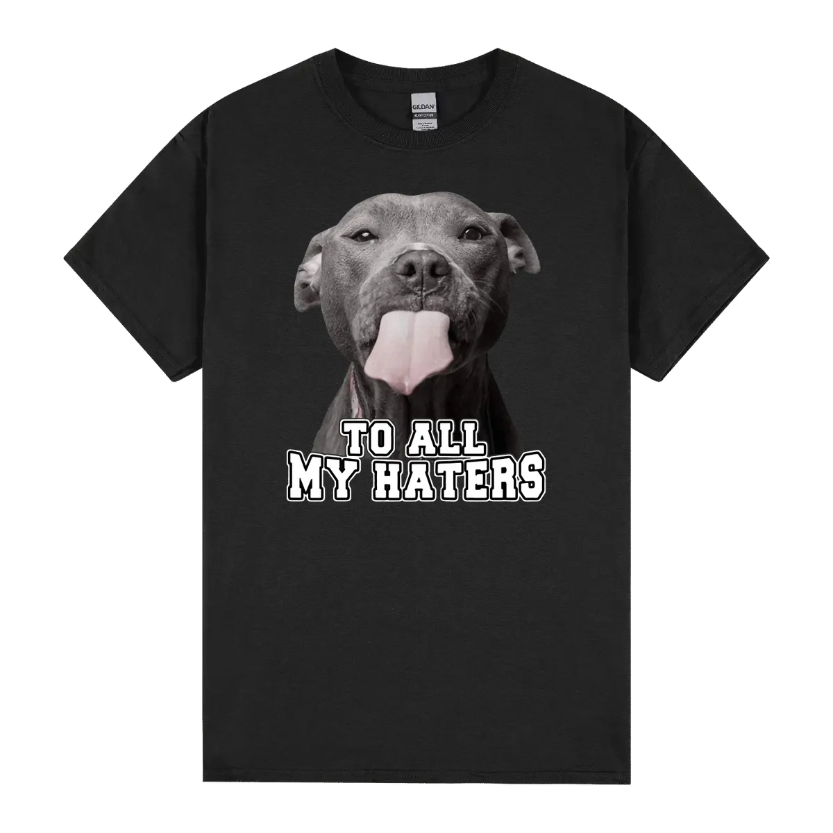 Pitbull To All My Haters