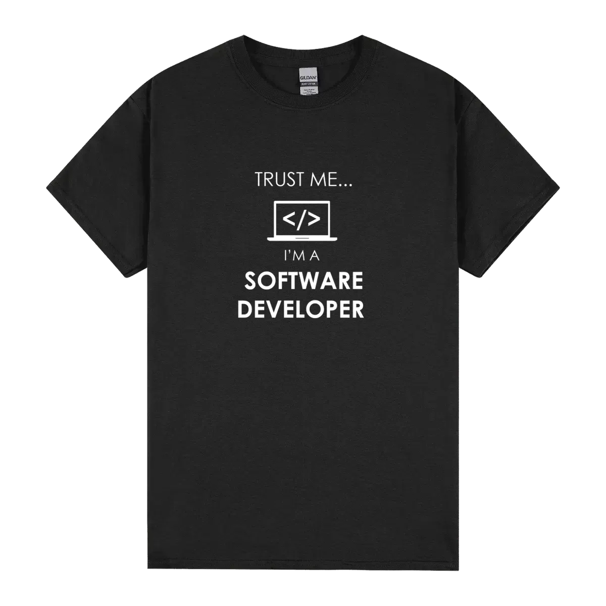 Software Developer