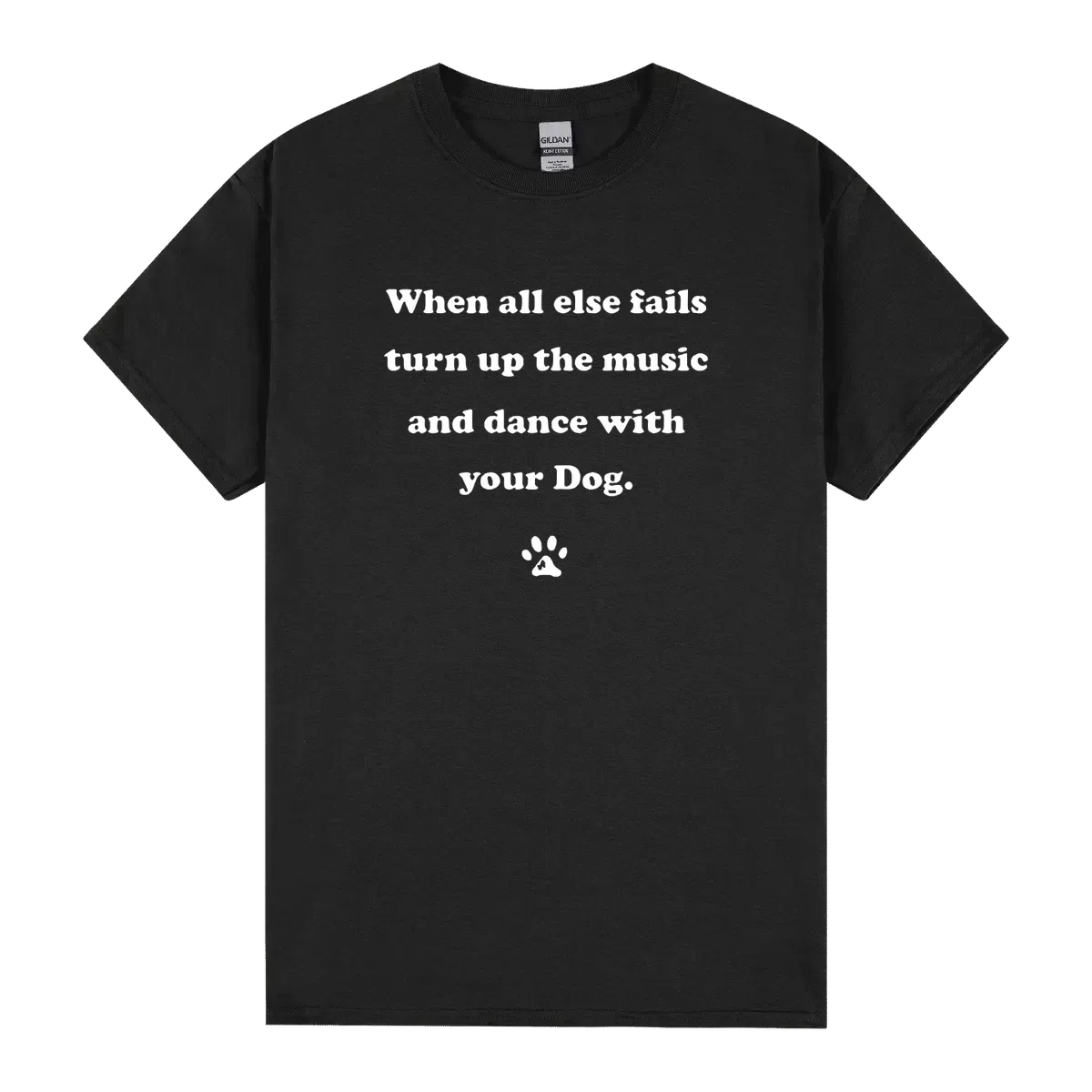 When All Else Fails Turn Up The Music And Dance With Your Dog