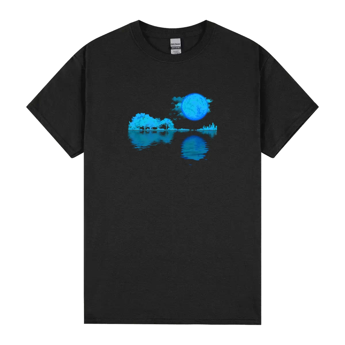 Acoustic Guitar Lake Shadow Guitar Player