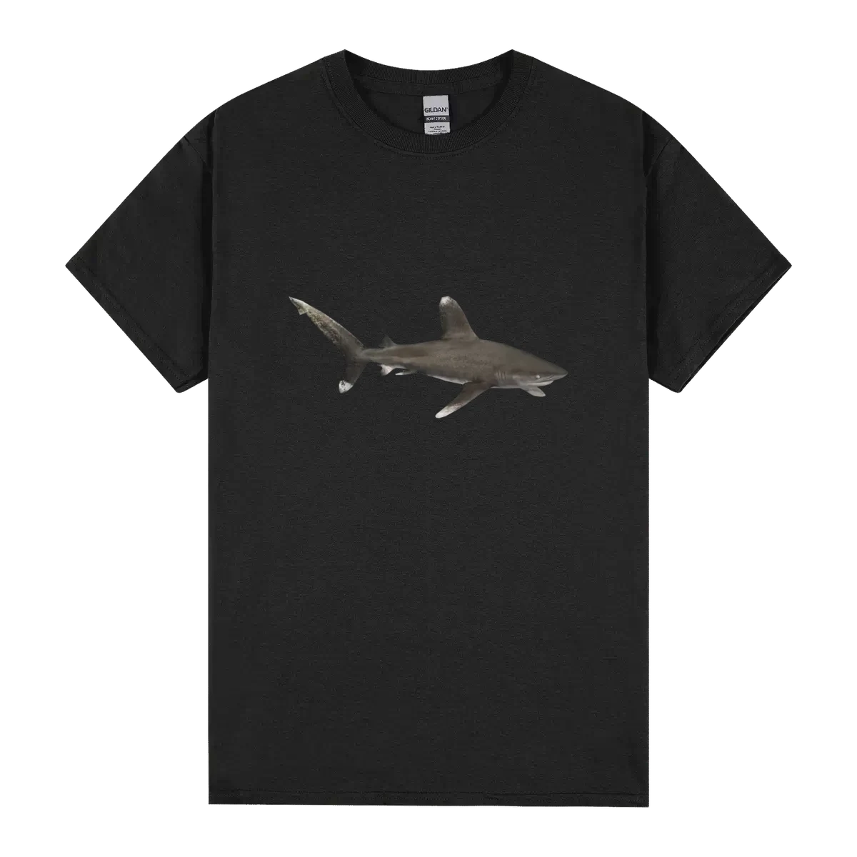 Oceanic Whitetip Shark Zerosvalmont