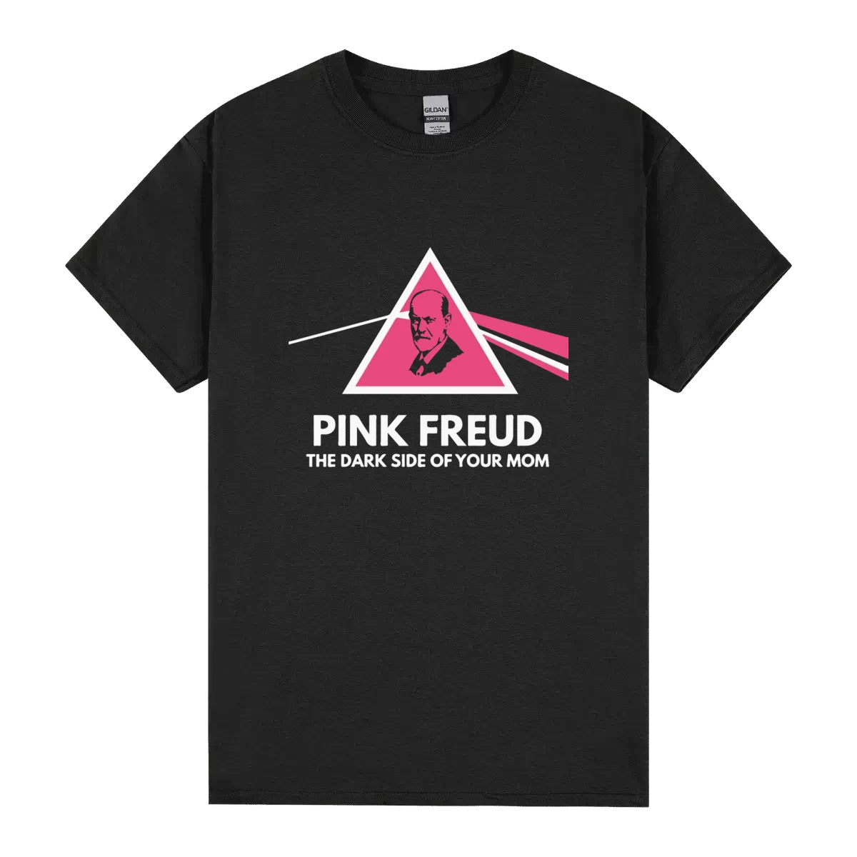 Pink Freud The Dark Side Of