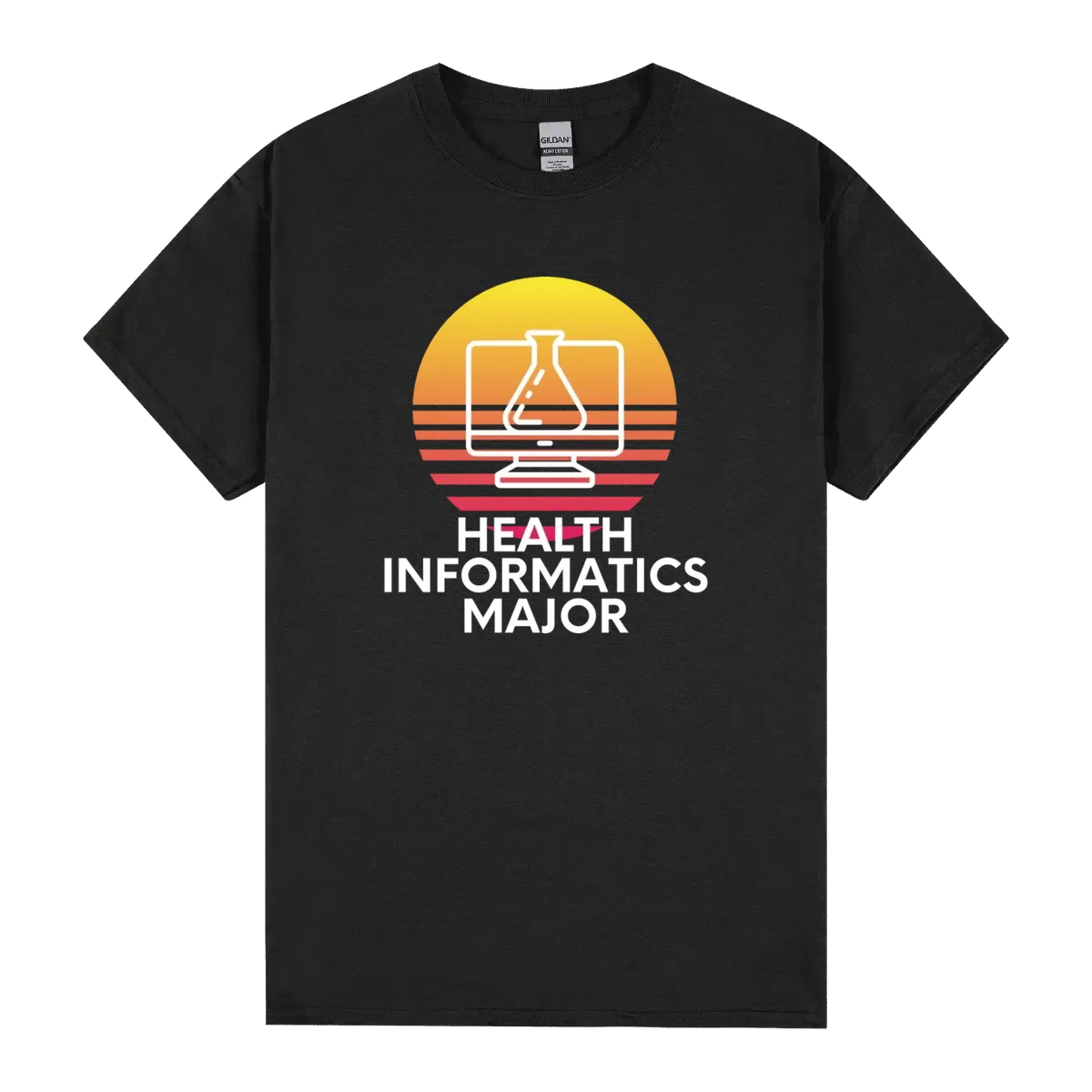 Health Informatics Major Colorful Sunset College
