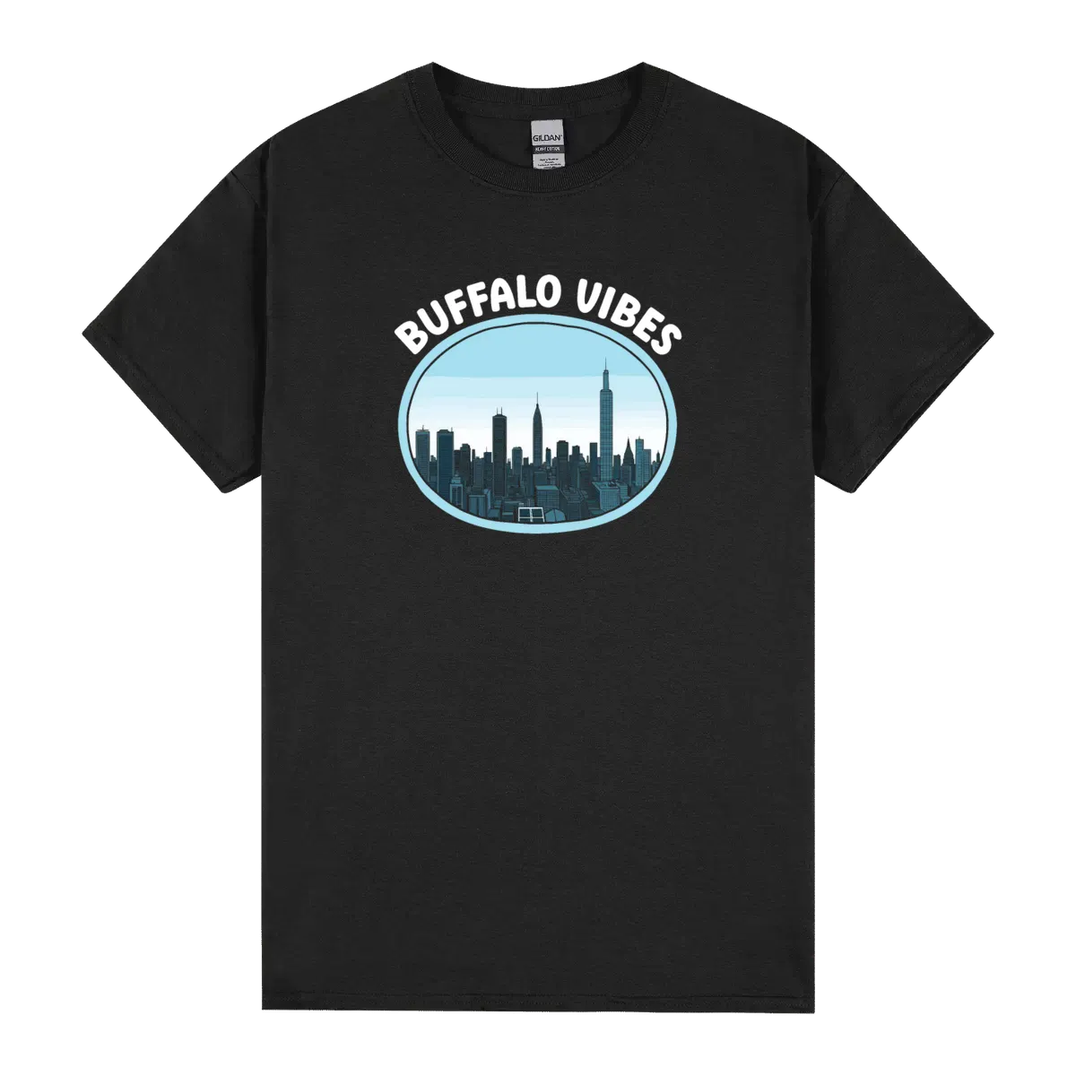 Buffalo City New York Usa America United States