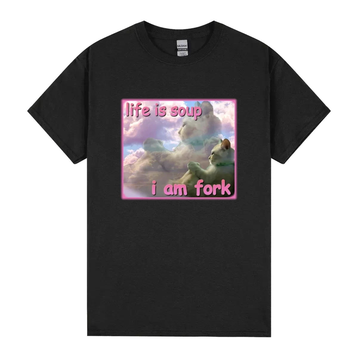 Life Is Soup I Am Fork Funny Cat Meme