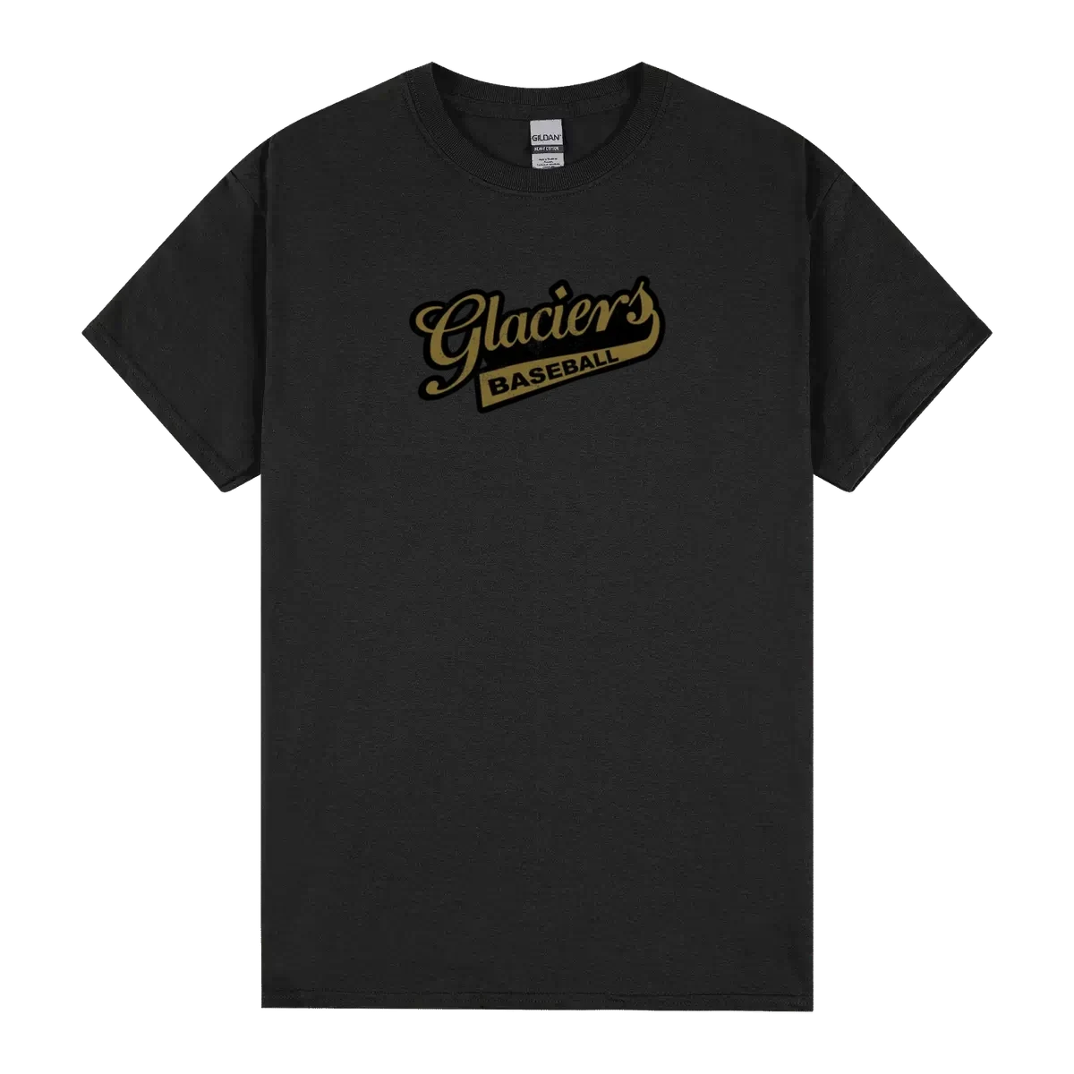 Surrey Glaciers Defunct Western League Distressed Fan T