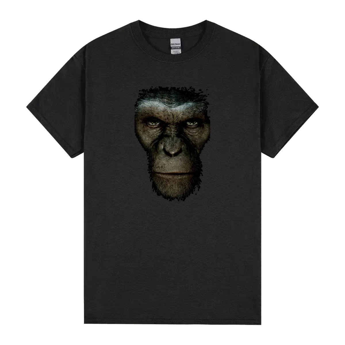 Rise Of The Planet Of The Apes Movie