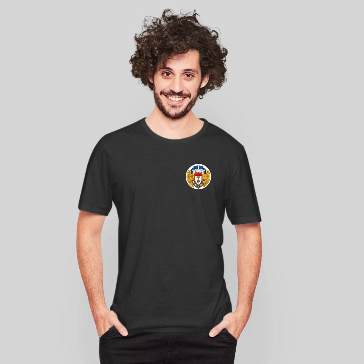 100th Bomb Group Ww2 The Bloody Hundredth Patchwwi