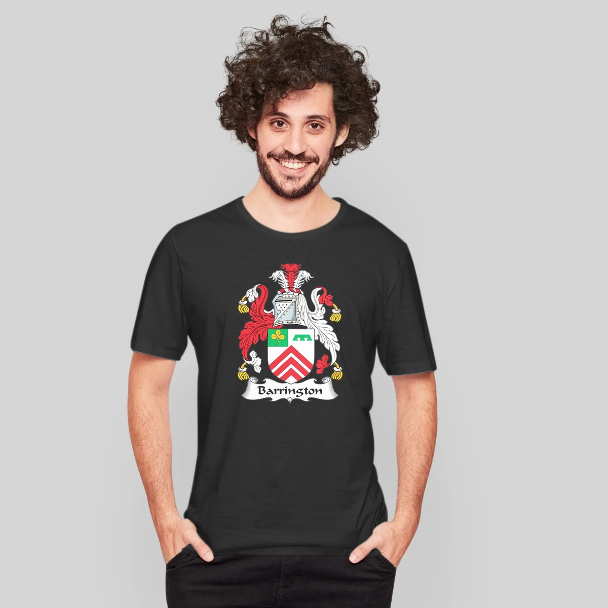 Barrington Coat Of Arms Irish Family Crests