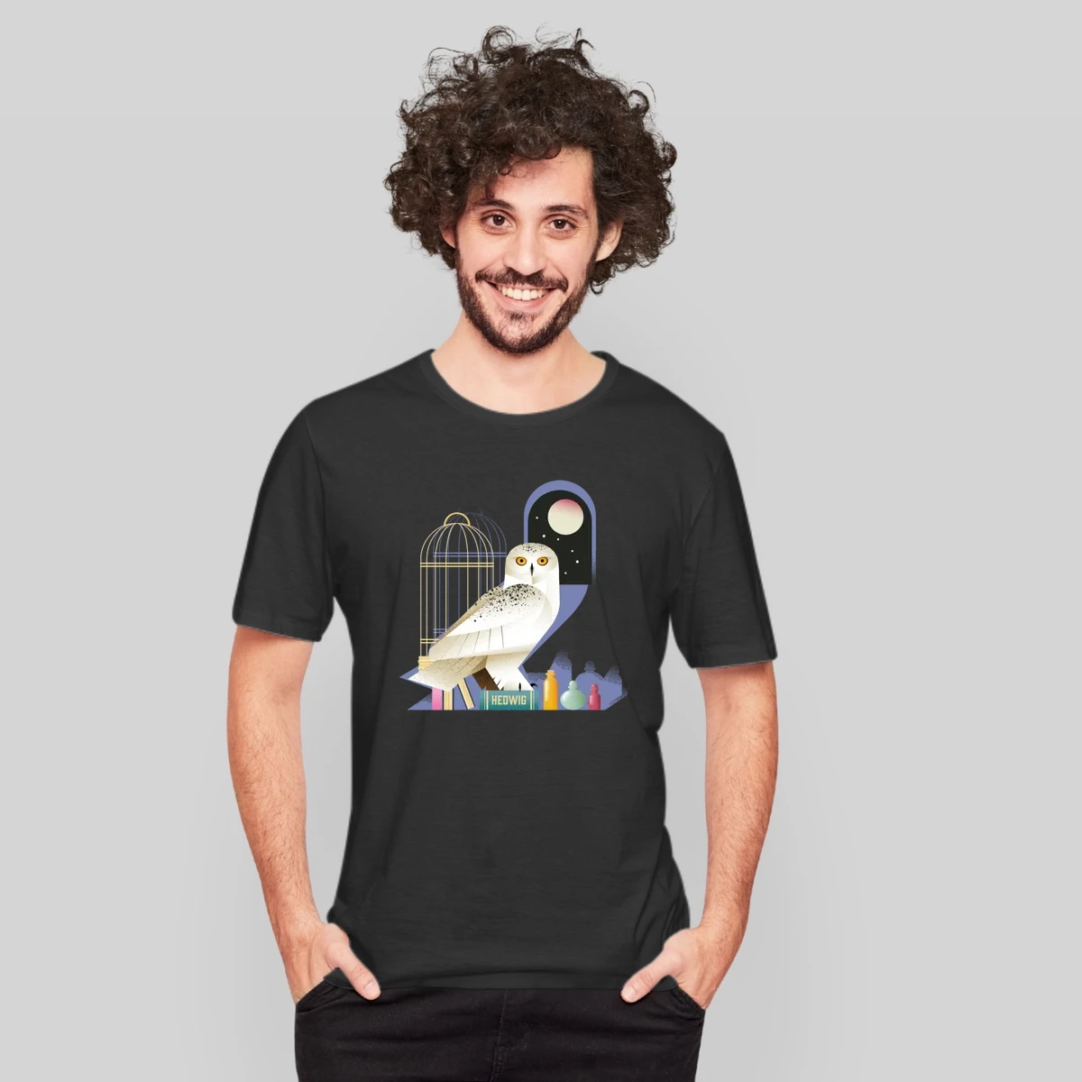 Harry Potter Hedwig The Owl At Night