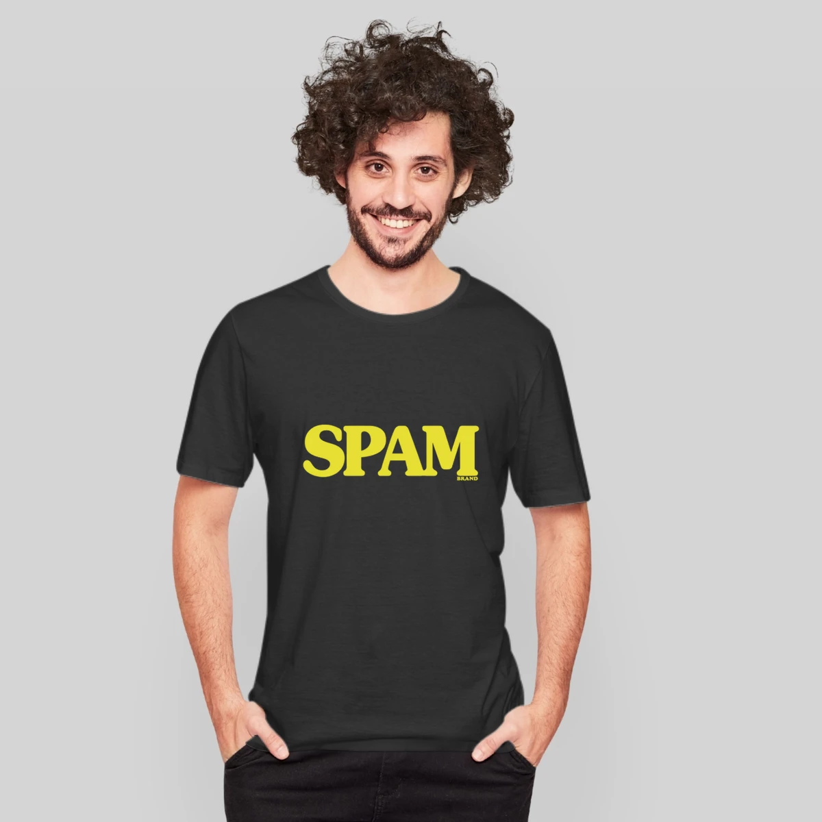 Spam Logo Vintage Label Poster Worn Look