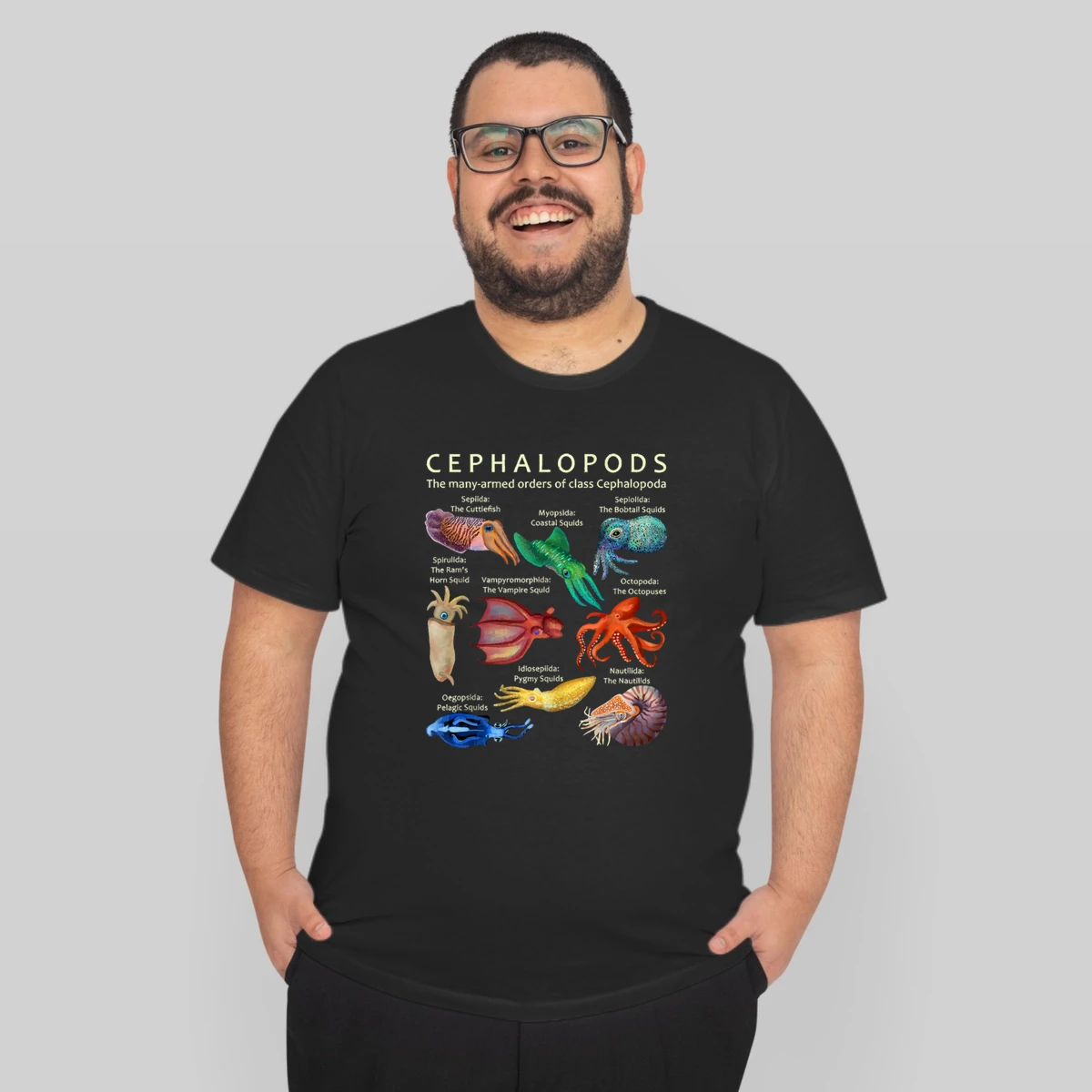 The Cephalopod Octopus Squid Cuttlefish And