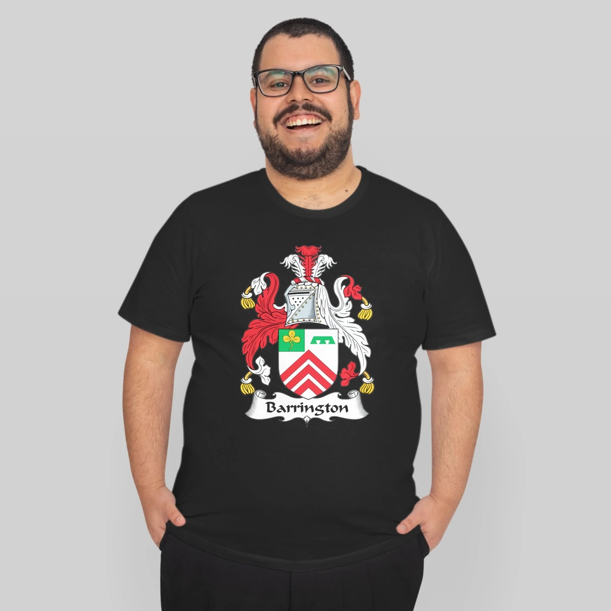 Barrington Coat Of Arms Irish Family Crests