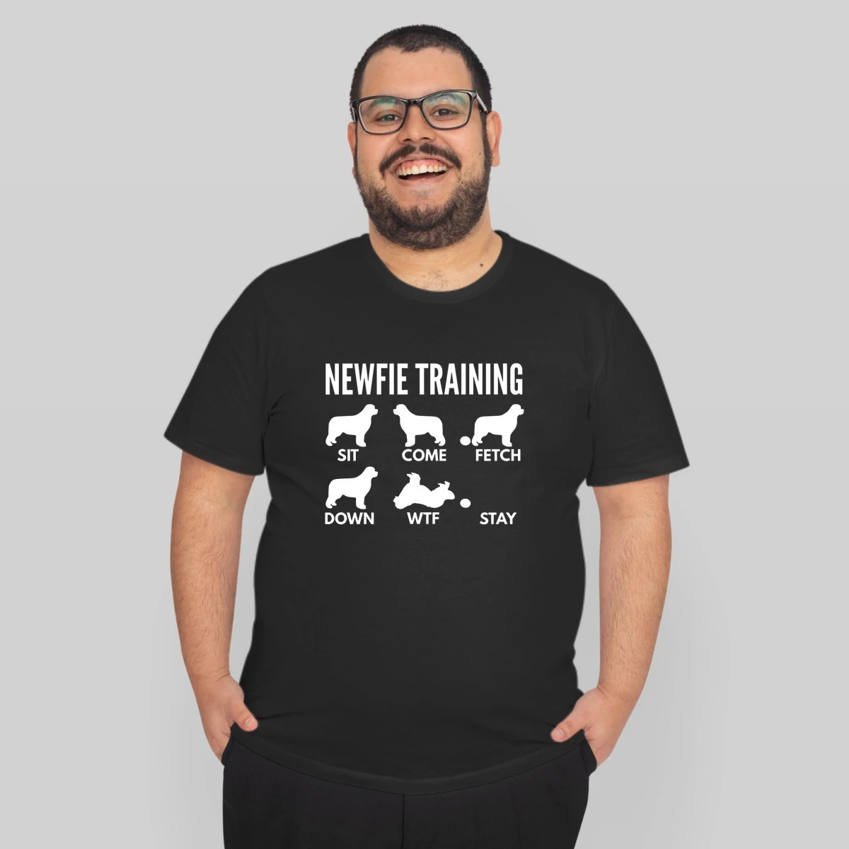 Newfie Training Newfoundland Dog Tricks