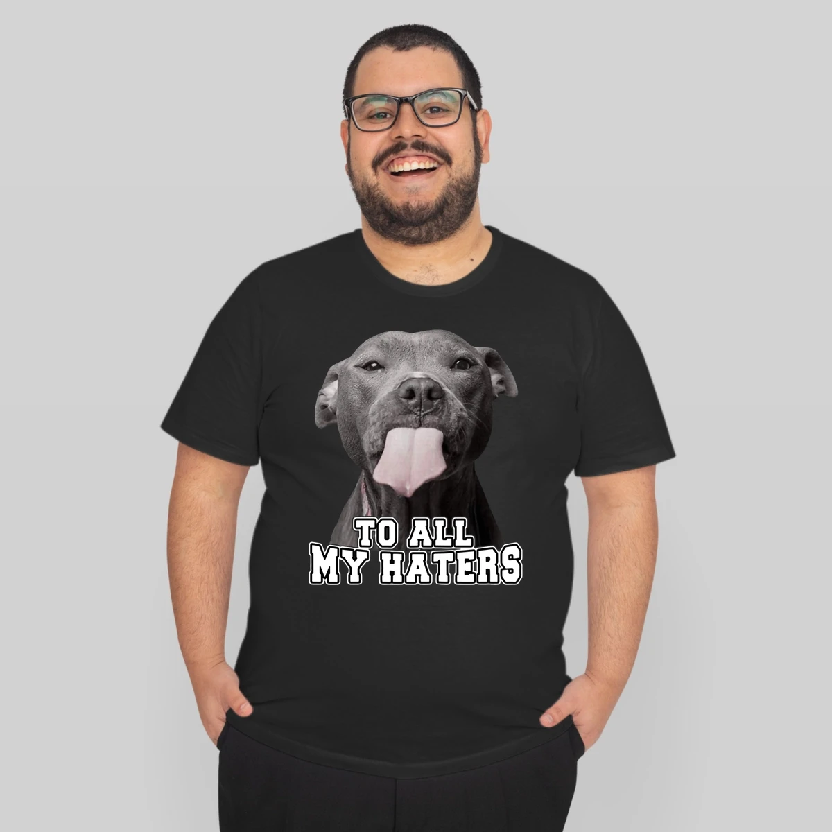 Pitbull To All My Haters