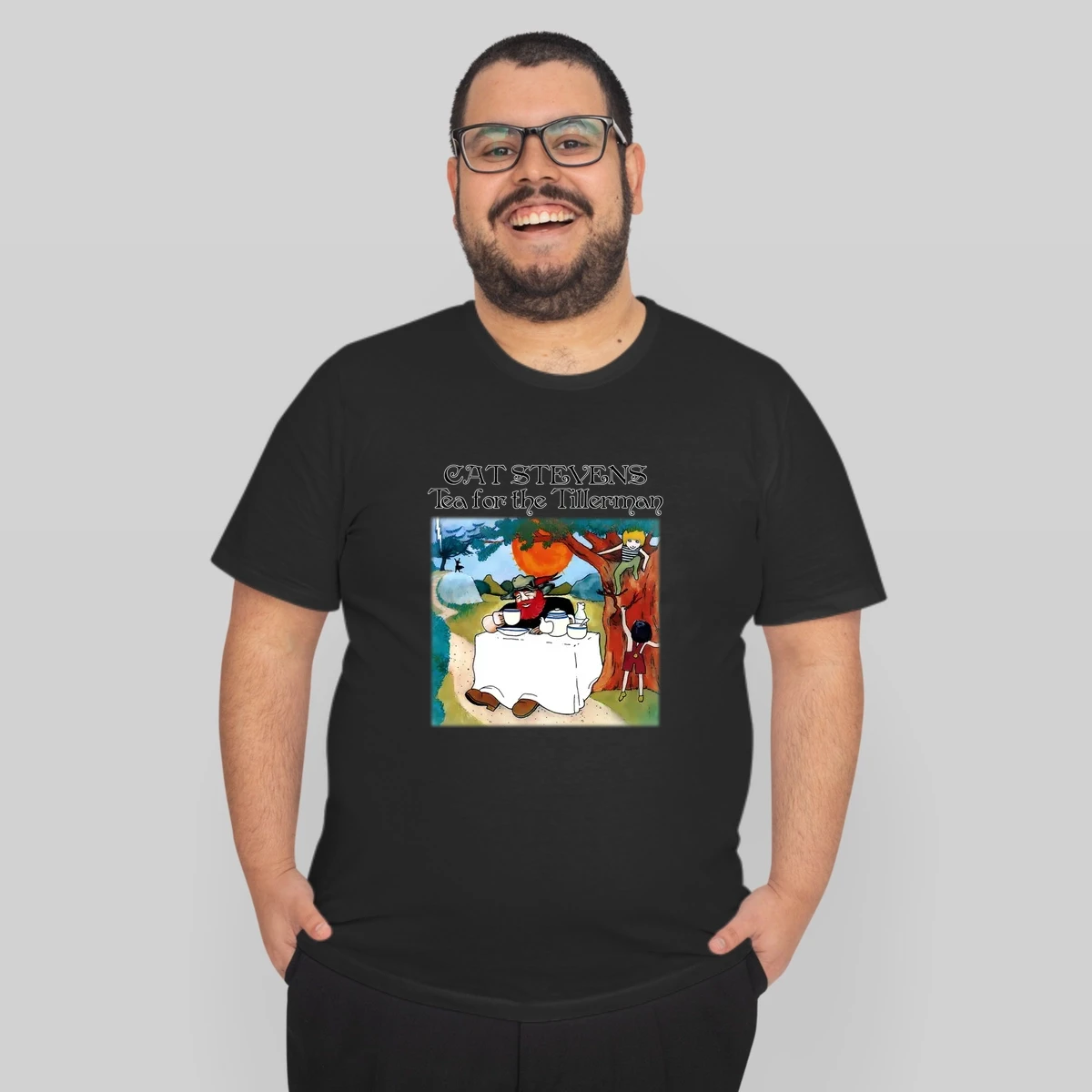 Bab70s Cat Stevens Tea For The Tillerman