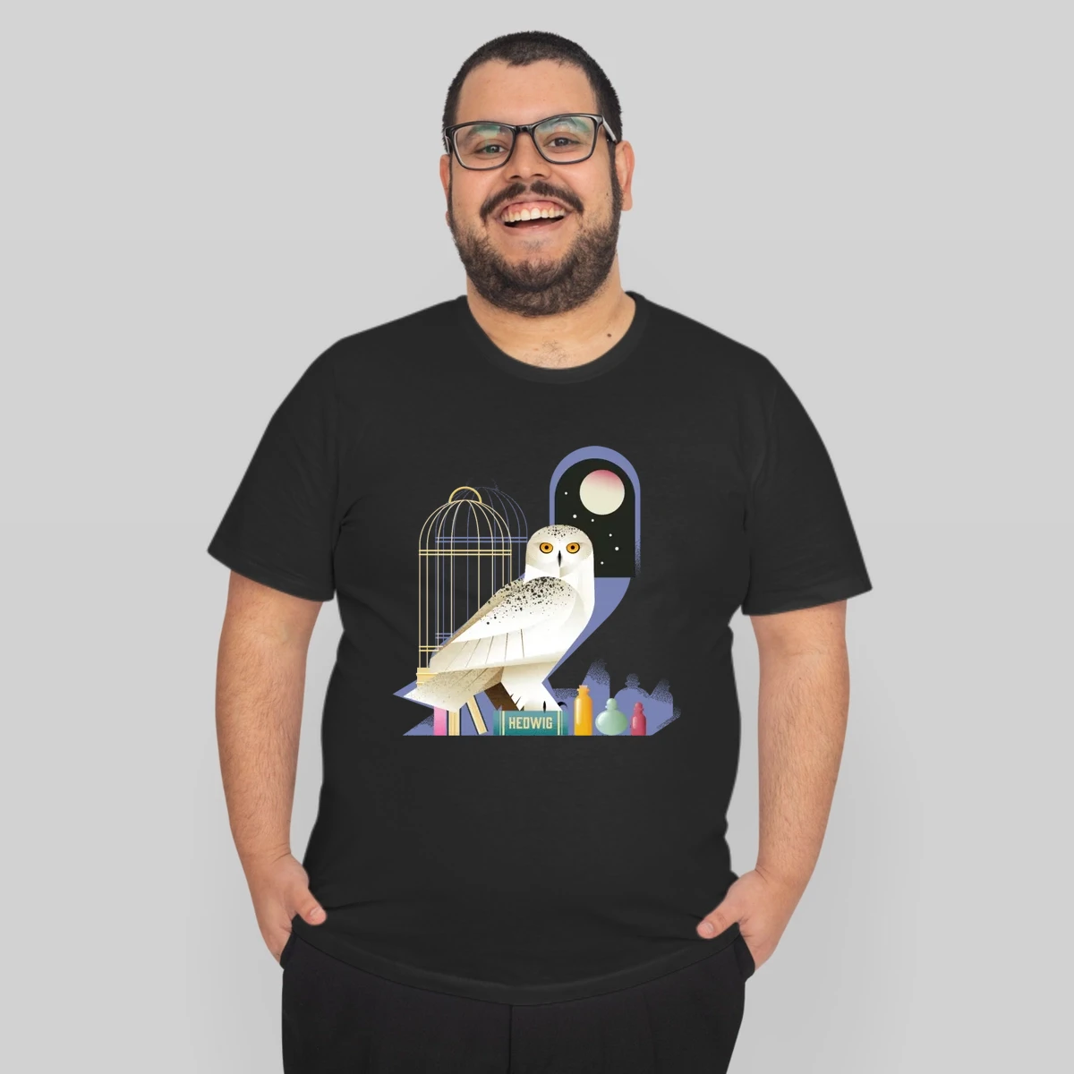 Harry Potter Hedwig The Owl At Night