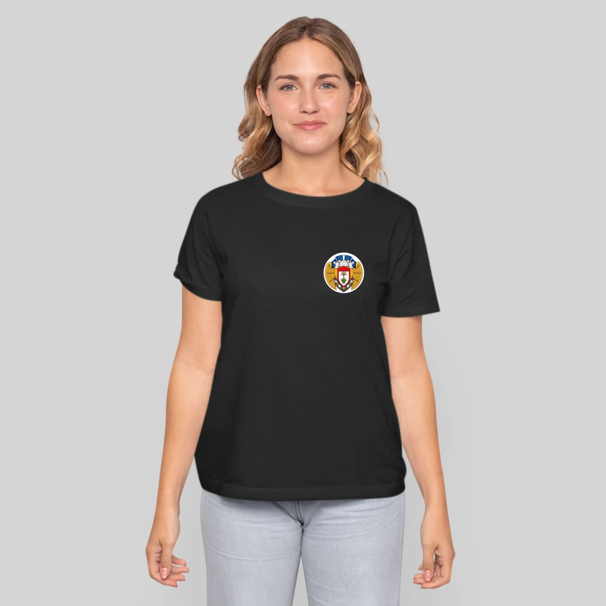 100th Bomb Group Ww2 The Bloody Hundredth Patchwwi