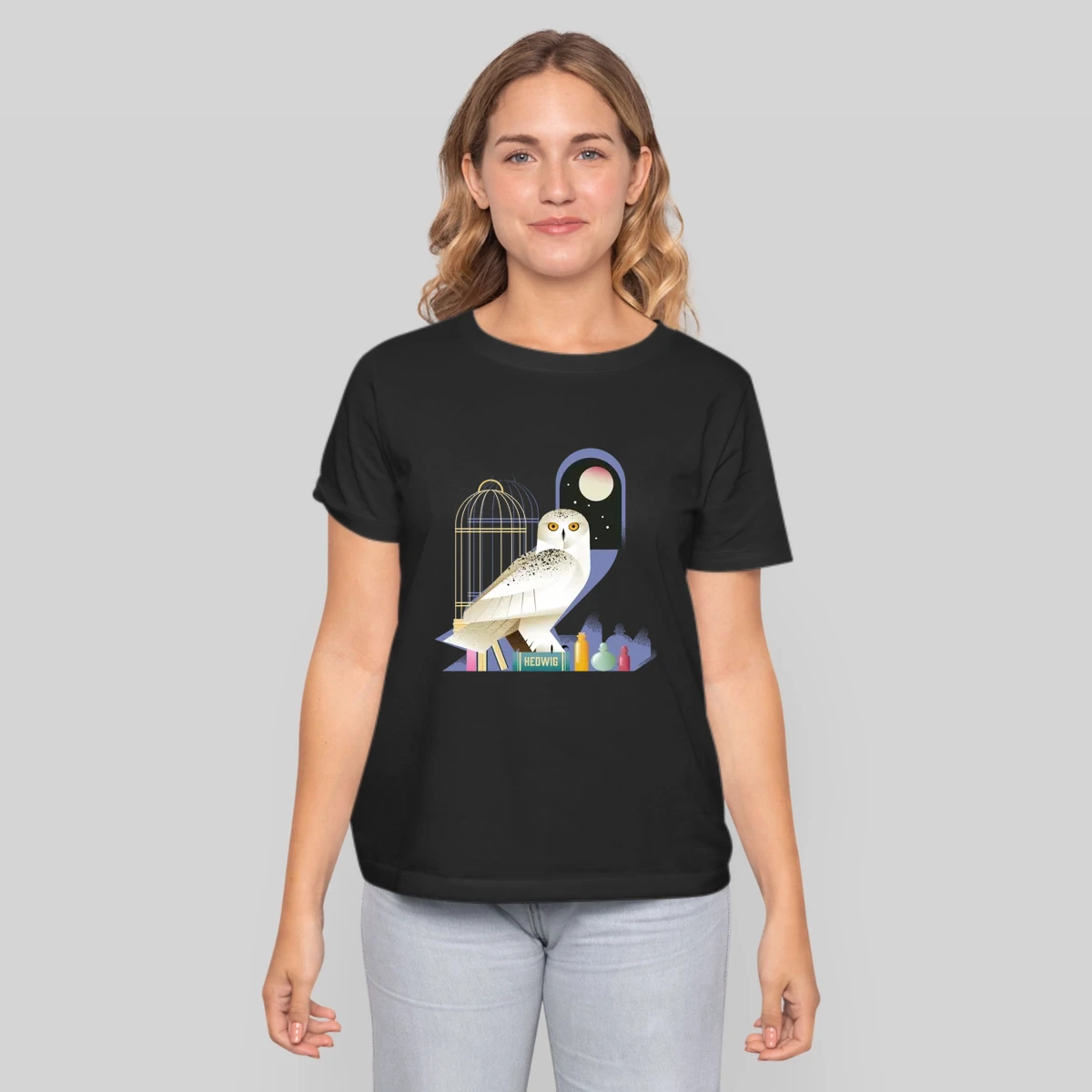 Harry Potter Hedwig The Owl At Night