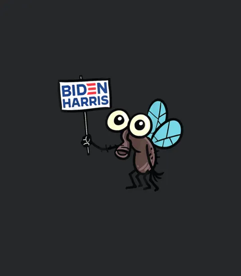 2020 Vice Presidential Debate Fly