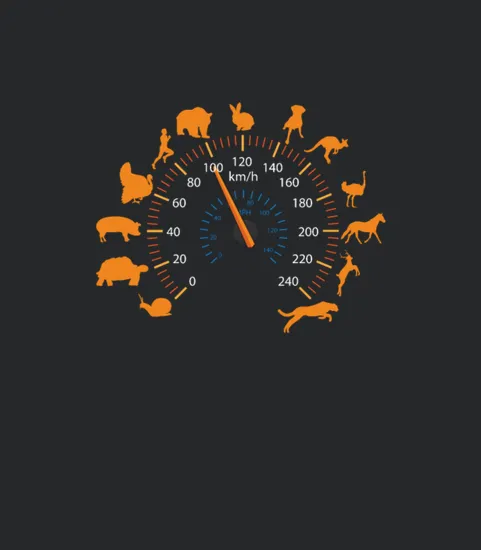 Animal Running Speedometer Runners Speed Limit