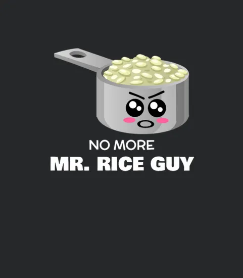 No More Mr Rice Guy Funny Rice Pun