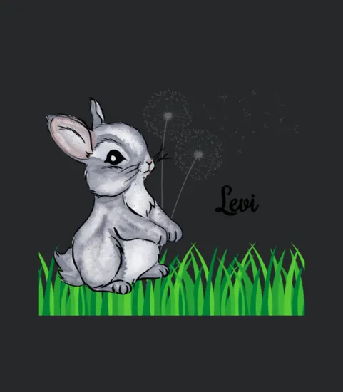Hase Name Gift Levi
