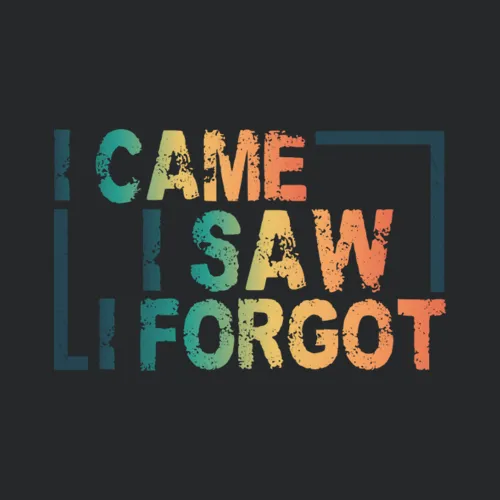 I Came I Saw I Forgot